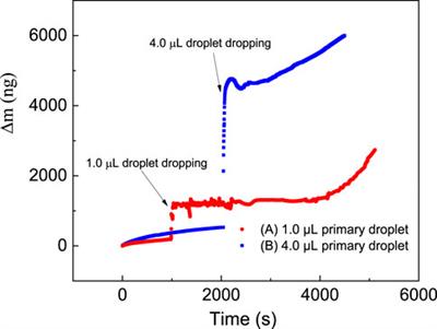 Electrochemical Formation Mechanism of Microdroplets on Pure Iron
